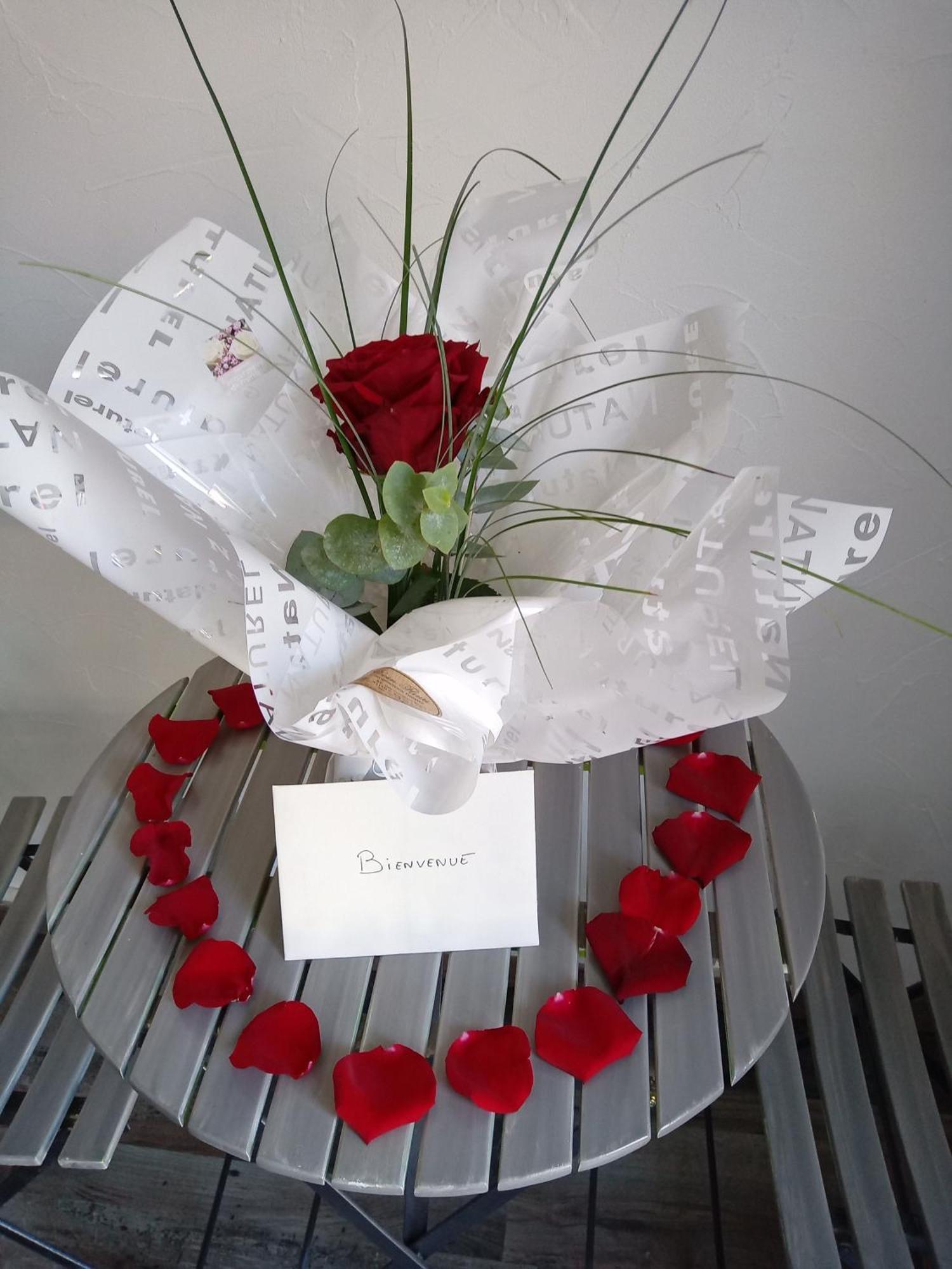 Studio Les Coquelicots Saint-Romain-sur-Cher Luaran gambar