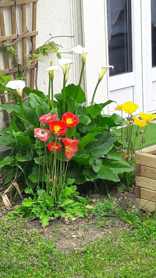 Studio Les Coquelicots Saint-Romain-sur-Cher Luaran gambar
